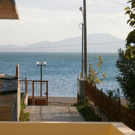 Artemis - Marina Apartments Evia Kültér fotó