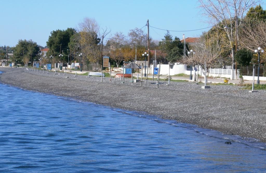 Artemis - Marina Apartments Evia Szoba fotó