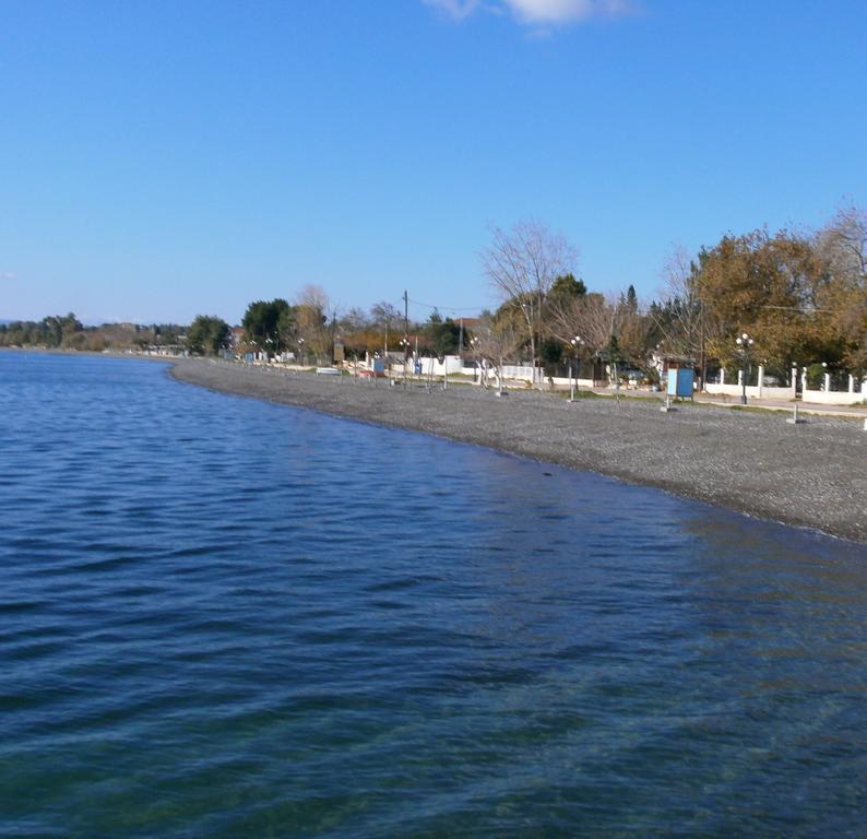 Artemis - Marina Apartments Evia Szoba fotó
