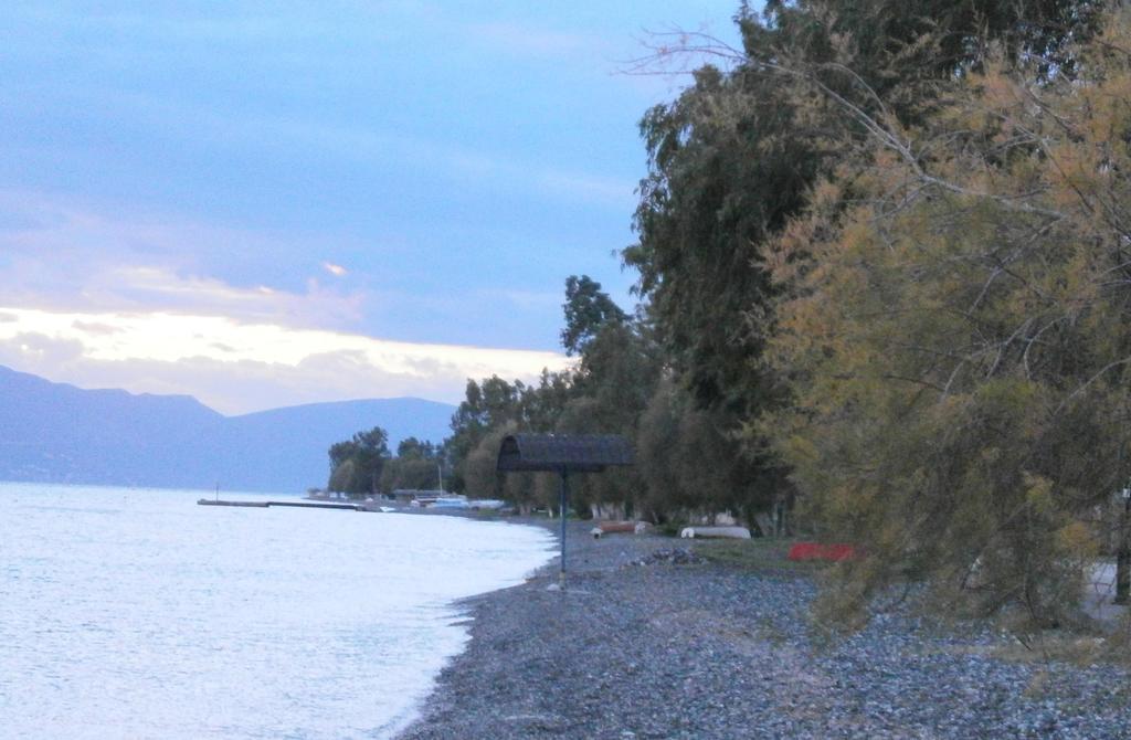 Artemis - Marina Apartments Evia Szoba fotó