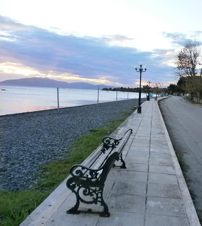 Artemis - Marina Apartments Evia Szoba fotó
