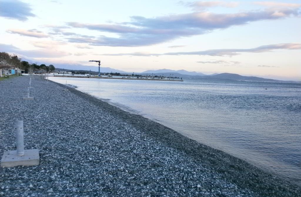 Artemis - Marina Apartments Evia Szoba fotó