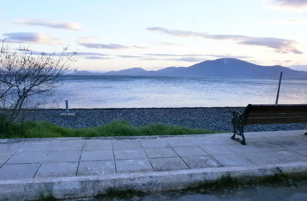 Artemis - Marina Apartments Evia Szoba fotó