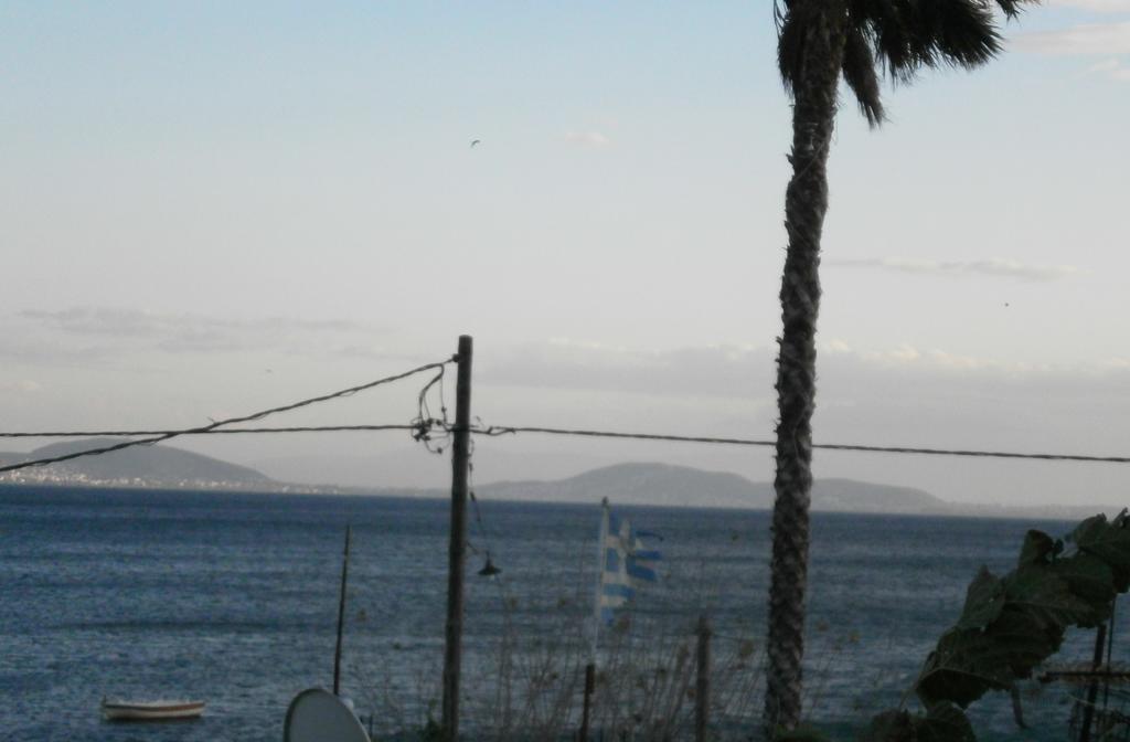 Artemis - Marina Apartments Evia Szoba fotó