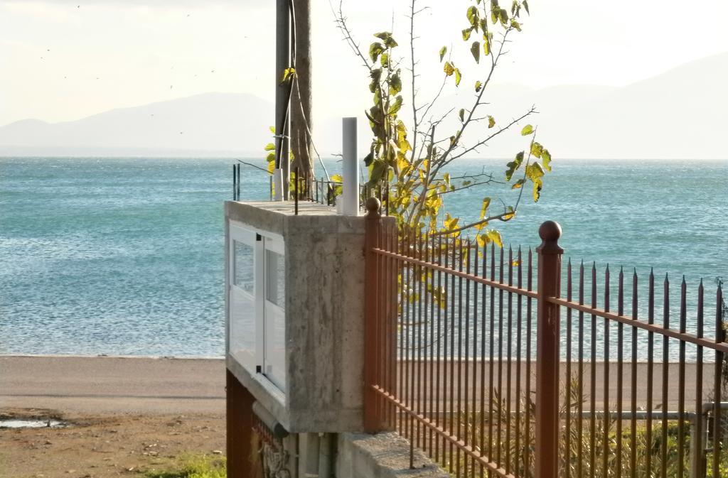 Artemis - Marina Apartments Evia Szoba fotó