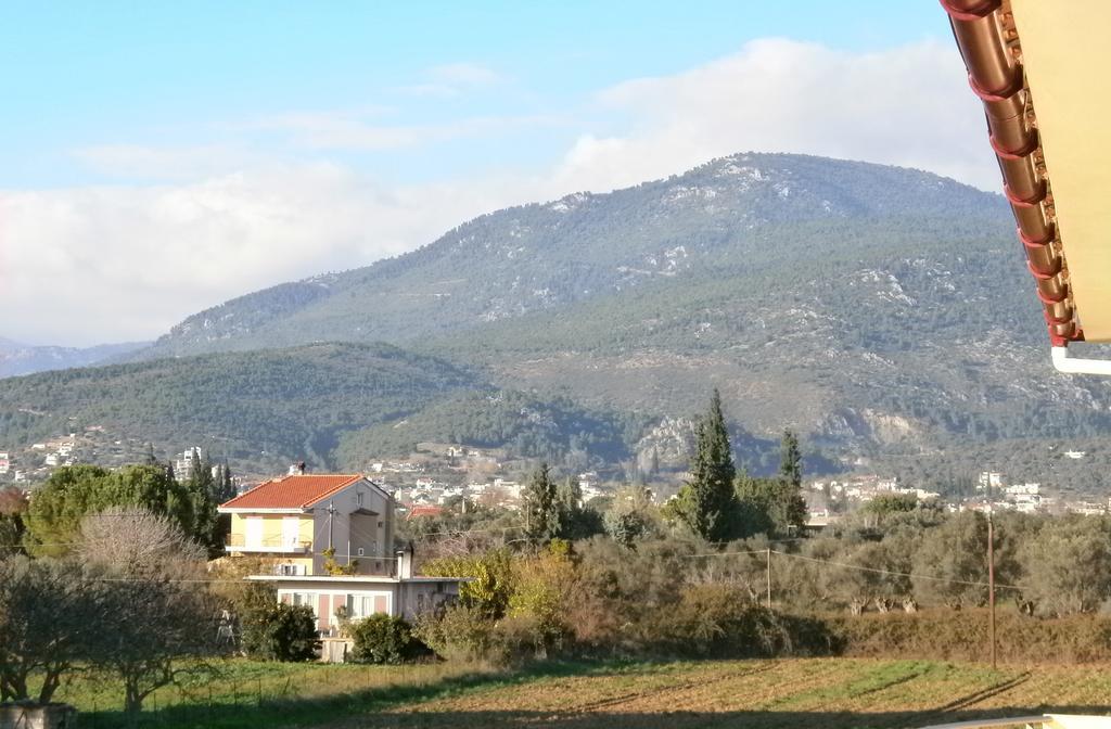 Artemis - Marina Apartments Evia Szoba fotó