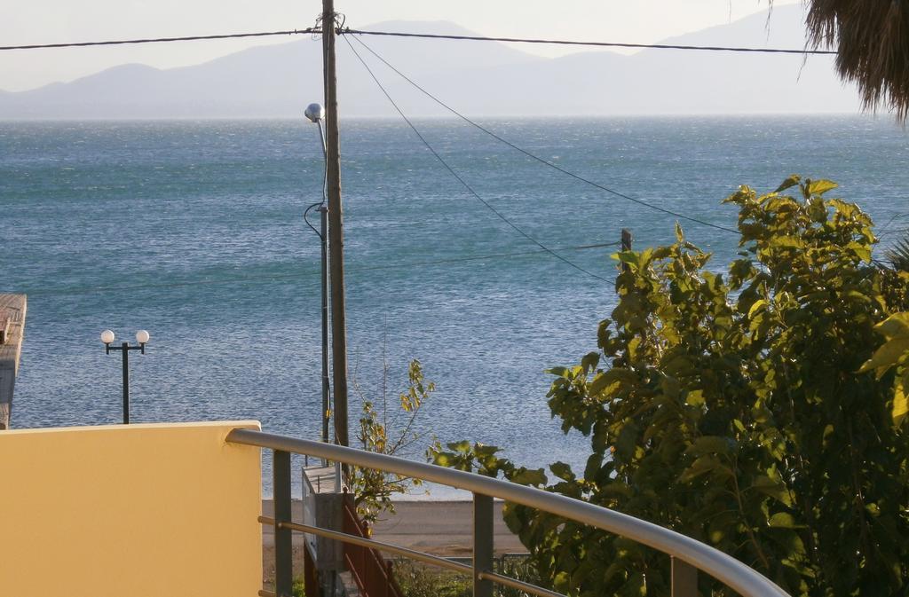 Artemis - Marina Apartments Evia Szoba fotó